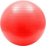 Мяч гимнастический Anti-Burst  65 см